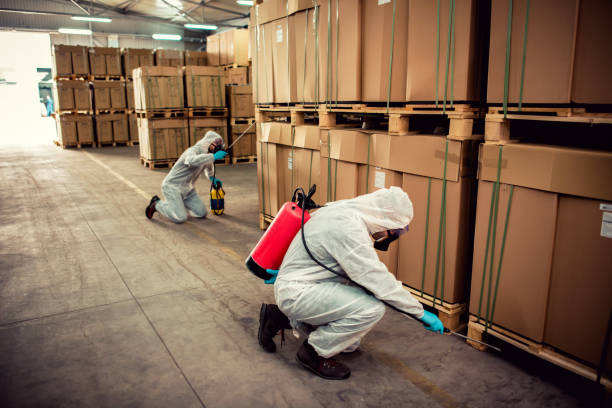 Best Flea Control Services  in Grant, AL