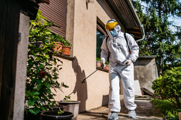 Best Residential Pest Control  in Grant, AL