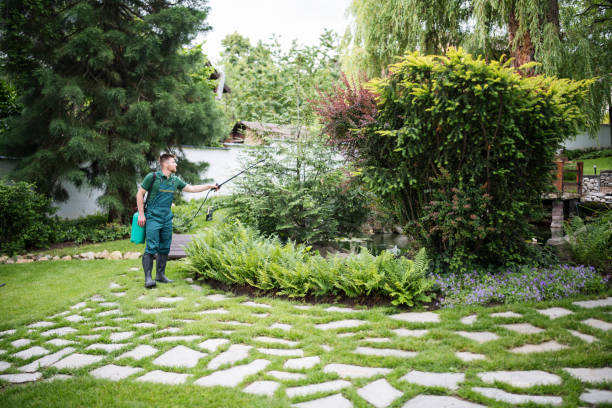 Best Ant Control Services  in Grant, AL