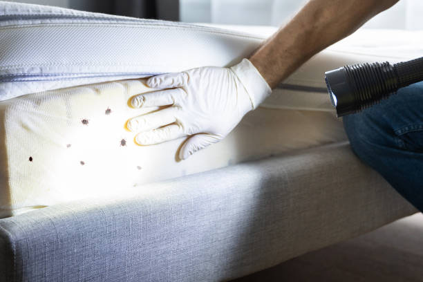 Best Pest Prevention Services  in Grant, AL