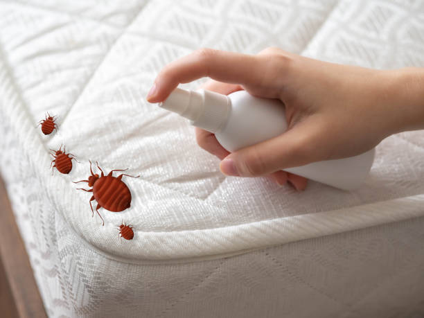 Best Insect Control  in Grant, AL