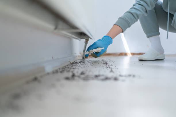 Best Commercial Pest Control Services  in Grant, AL