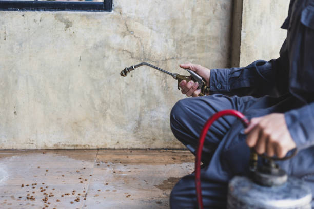 Best Termite Control Services  in Grant, AL